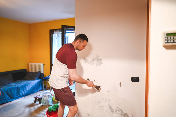  San Clemente, CA Mold Removal Pros
